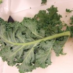 Kale = superfood Kale = superfood