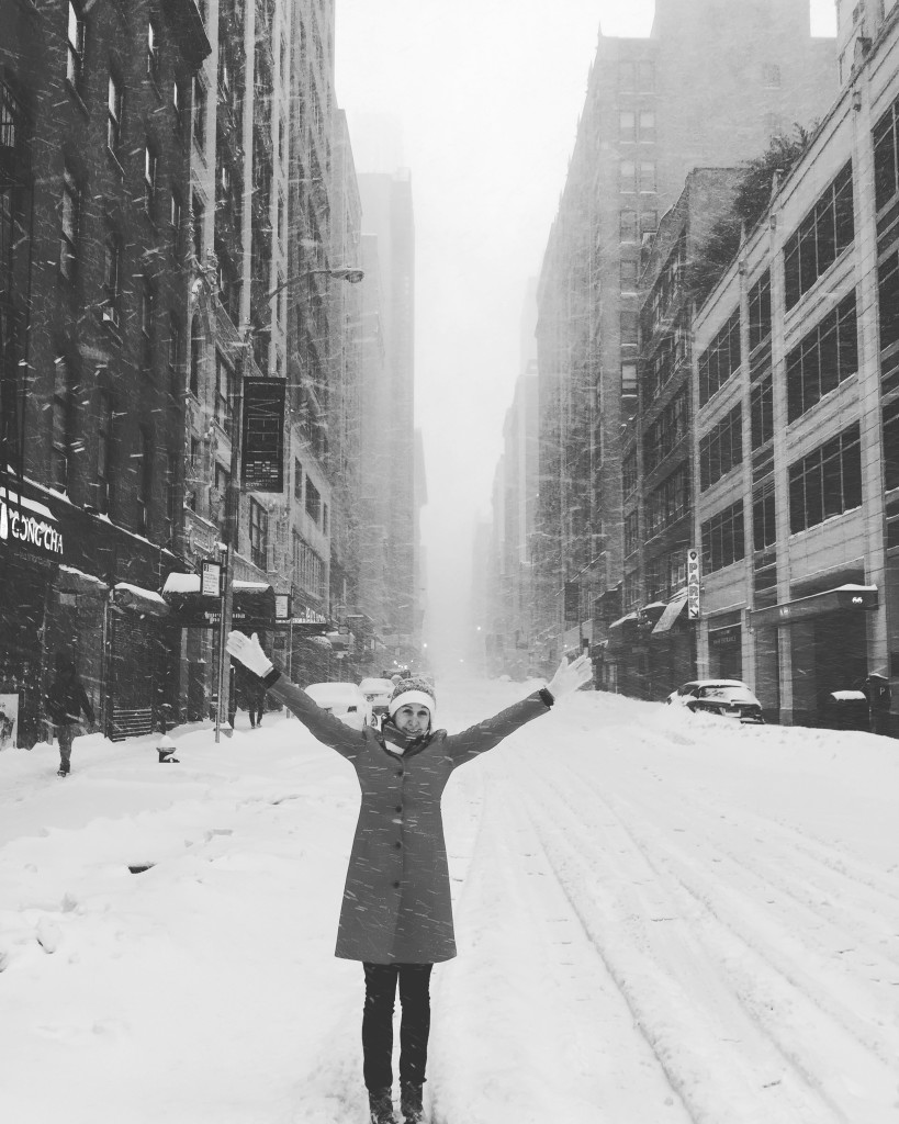 2016 NYC Blizzard